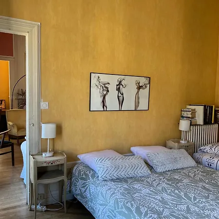 La Victoria -vieille Ville&pépinière -50m2 * Nancy